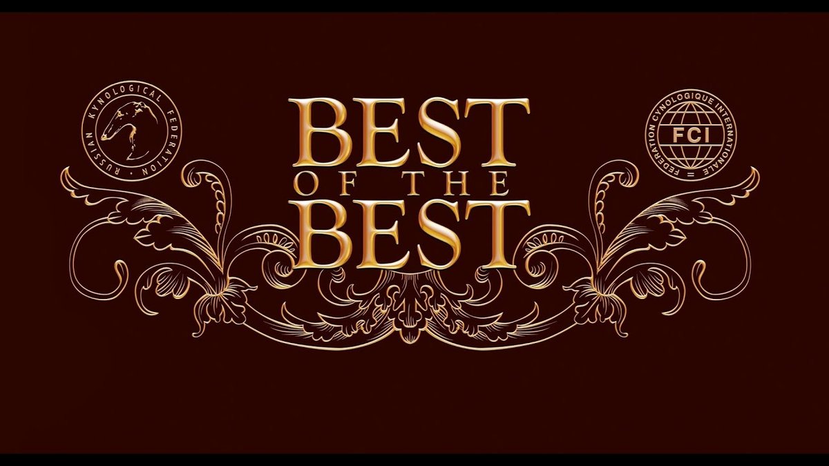 Best Plumber In Eagle Offers Reliable Home Solutions